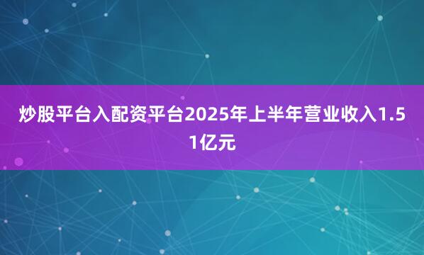 炒股平台入配资平台2025年上半年营业收入1.51亿元